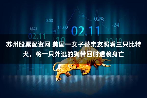 苏州股票配资网 美国一女子替亲友照看三只比特犬，将一只外逃的狗带回时遭袭身亡