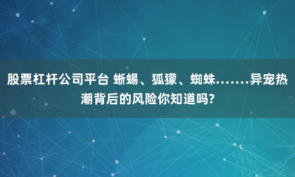 股票杠杆公司平台 蜥蜴、狐獴、蜘蛛.……异宠热潮背后的风险你知道吗?
