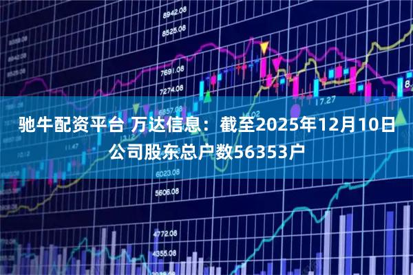 驰牛配资平台 万达信息：截至2025年12月10日公司股东总户数56353户