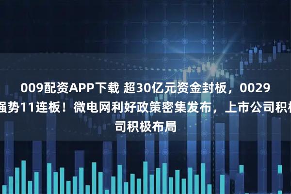 009配资APP下载 超30亿元资金封板，002931，强势11连板！微电网利好政策密集发布，上市公司积极布局