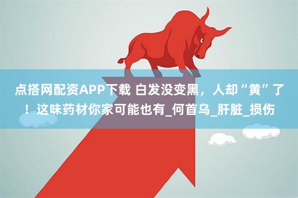 点搭网配资APP下载 白发没变黑，人却“黄”了！这味药材你家可能也有_何首乌_肝脏_损伤